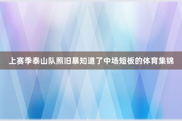 上赛季泰山队照旧暴知道了中场短板的体育集锦