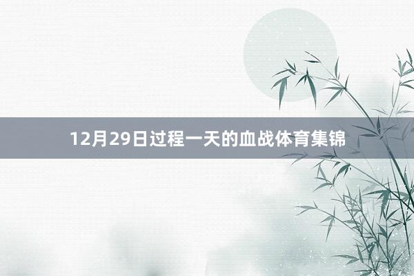 12月29日过程一天的血战体育集锦