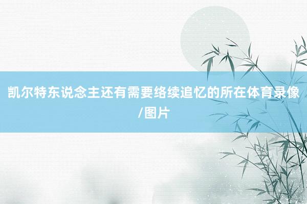 凯尔特东说念主还有需要络续追忆的所在体育录像/图片