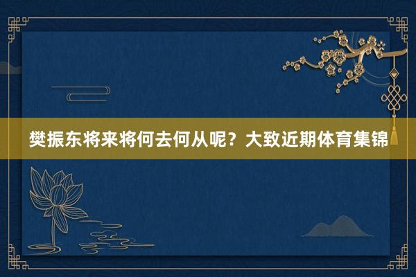 樊振东将来将何去何从呢？大致近期体育集锦