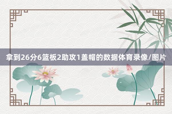 拿到26分6篮板2助攻1盖帽的数据体育录像/图片