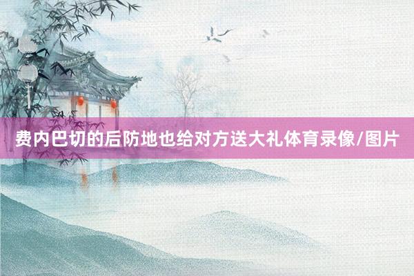 费内巴切的后防地也给对方送大礼体育录像/图片