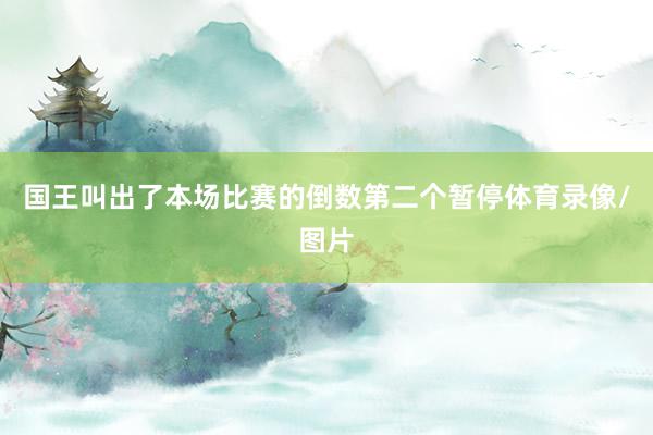国王叫出了本场比赛的倒数第二个暂停体育录像/图片