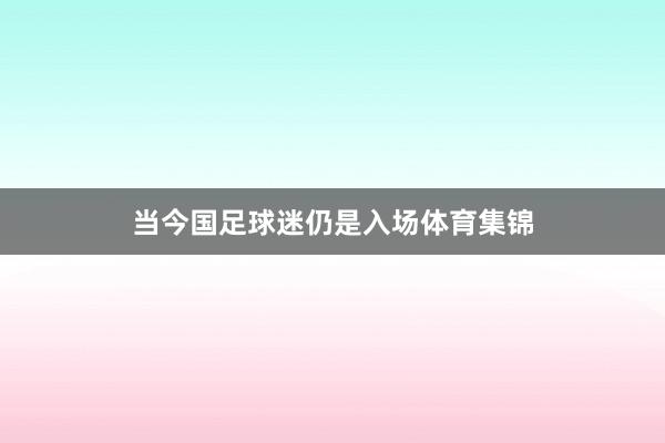 当今国足球迷仍是入场体育集锦