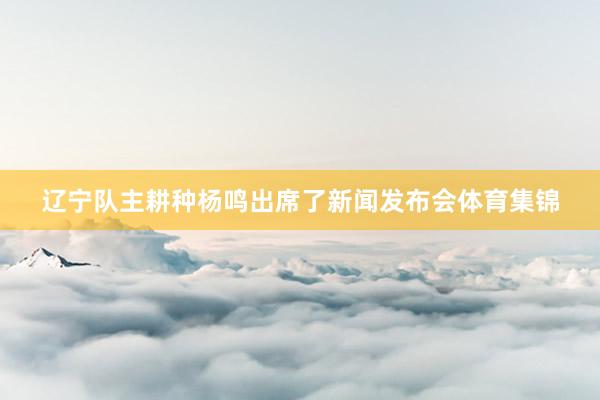 辽宁队主耕种杨鸣出席了新闻发布会体育集锦