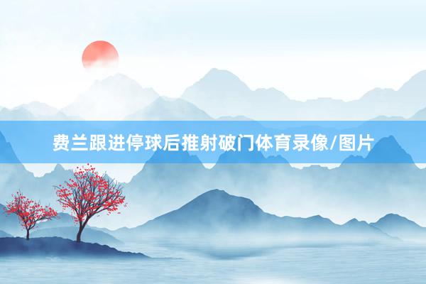 费兰跟进停球后推射破门体育录像/图片