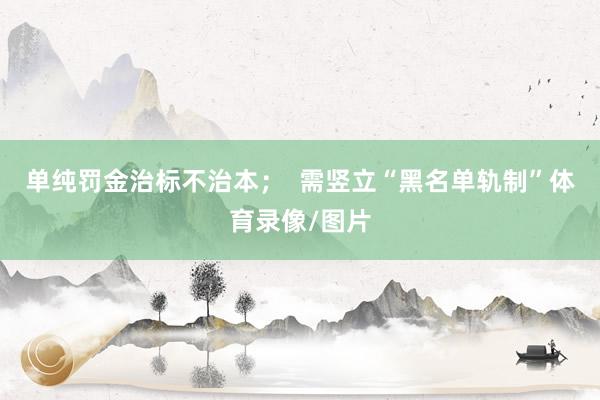 单纯罚金治标不治本；  需竖立“黑名单轨制”体育录像/图片