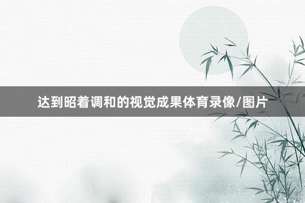 达到昭着调和的视觉成果体育录像/图片