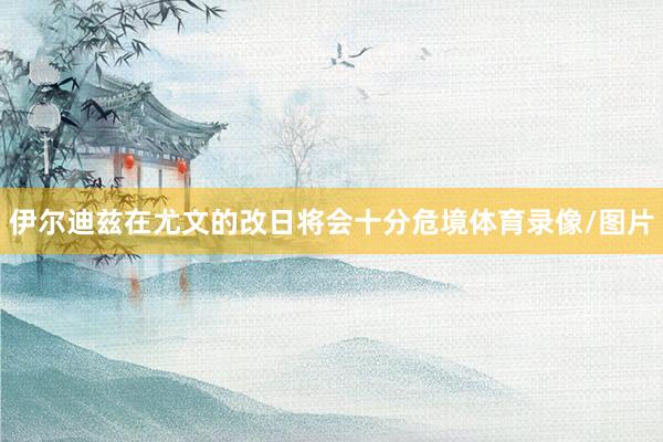 伊尔迪兹在尤文的改日将会十分危境体育录像/图片