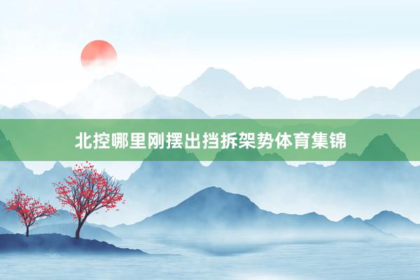 北控哪里刚摆出挡拆架势体育集锦