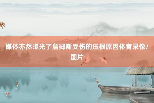 媒体亦然曝光了詹姆斯受伤的压根原因体育录像/图片