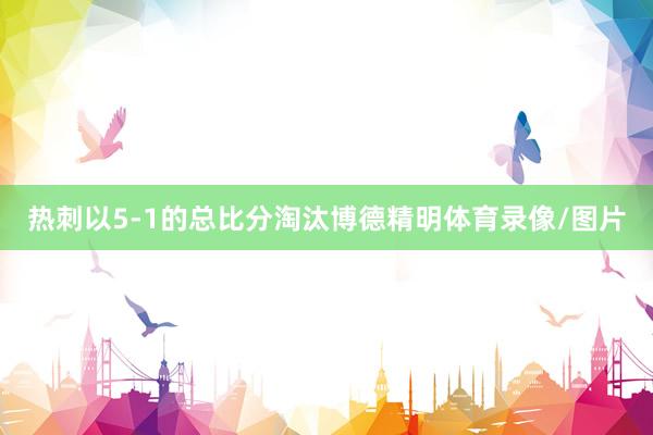 热刺以5-1的总比分淘汰博德精明体育录像/图片