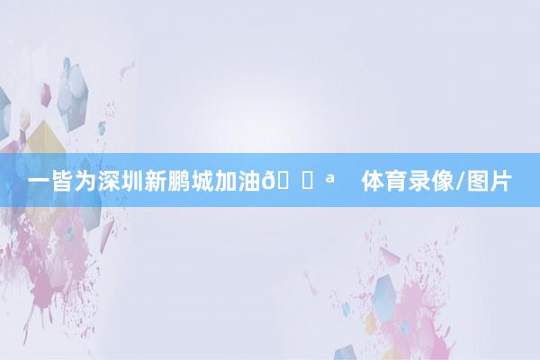 一皆为深圳新鹏城加油💪    体育录像/图片