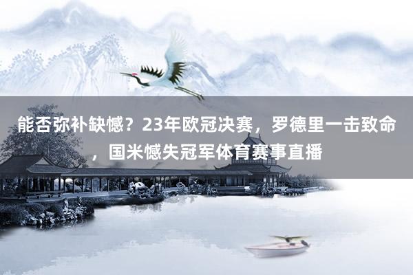 能否弥补缺憾？23年欧冠决赛，罗德里一击致命，国米憾失冠军体育赛事直播