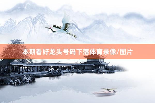 本期看好龙头号码下落体育录像/图片