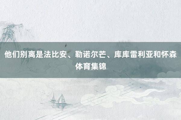 他们别离是法比安、勒诺尔芒、库库雷利亚和怀森体育集锦