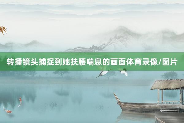 转播镜头捕捉到她扶腰喘息的画面体育录像/图片