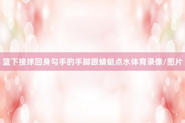 篮下接球回身勾手的手脚跟蜻蜓点水体育录像/图片