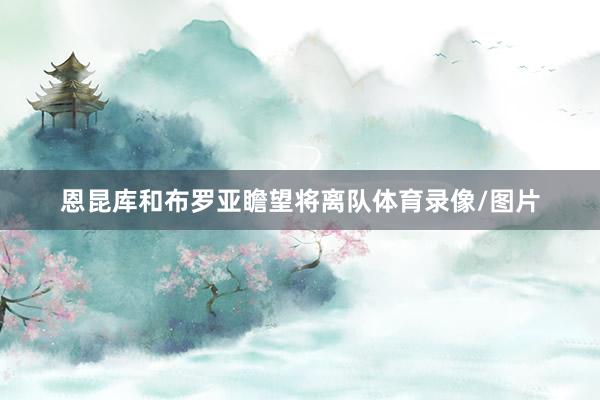 恩昆库和布罗亚瞻望将离队体育录像/图片