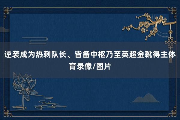 逆袭成为热刺队长、皆备中枢乃至英超金靴得主体育录像/图片