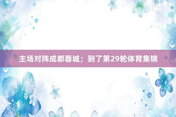 主场对阵成都蓉城；到了第29轮体育集锦