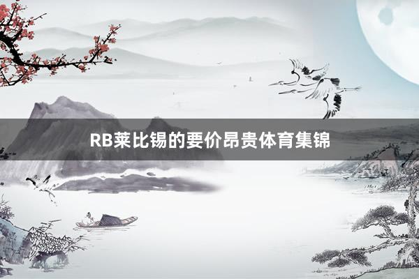 RB莱比锡的要价昂贵体育集锦