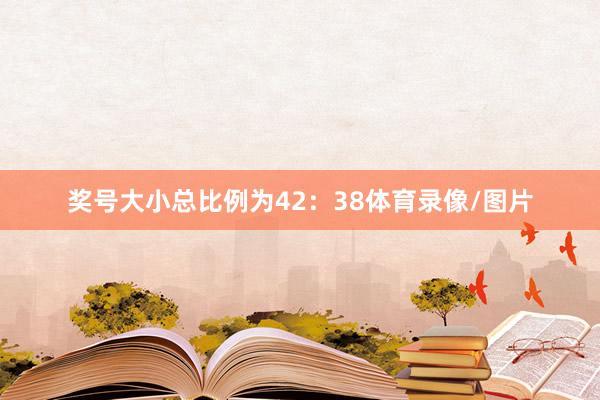 奖号大小总比例为42：38体育录像/图片