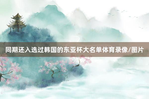 同期还入选过韩国的东亚杯大名单体育录像/图片