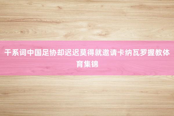 干系词中国足协却迟迟莫得就邀请卡纳瓦罗握教体育集锦