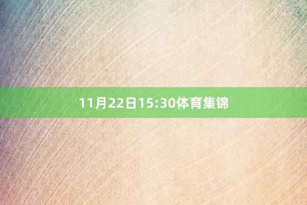 11月22日15:30体育集锦