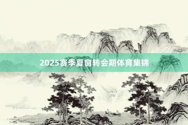 2025赛季夏窗转会期体育集锦