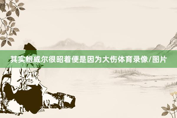 其实鲍威尔很昭着便是因为大伤体育录像/图片