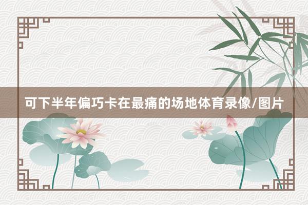 可下半年偏巧卡在最痛的场地体育录像/图片