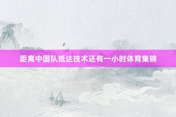 距离中国队抵达技术还有一小时体育集锦