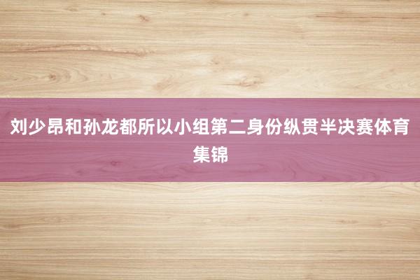 刘少昂和孙龙都所以小组第二身份纵贯半决赛体育集锦