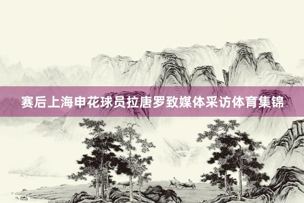 赛后上海申花球员拉唐罗致媒体采访体育集锦