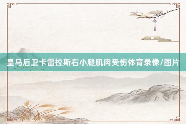 皇马后卫卡雷拉斯右小腿肌肉受伤体育录像/图片