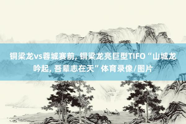 铜梁龙vs蓉城赛前, 铜梁龙亮巨型TIFO“山城龙吟起, 吾辈志在天”体育录像/图片