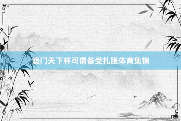 澳门天下杯可谓备受扎眼体育集锦