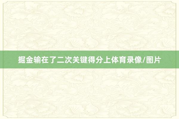 掘金输在了二次关键得分上体育录像/图片