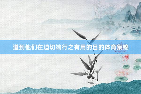 道到他们在迫切端行之有用的目的体育集锦