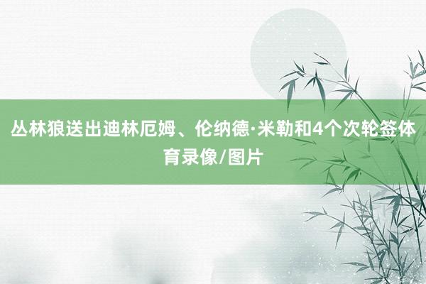 丛林狼送出迪林厄姆、伦纳德·米勒和4个次轮签体育录像/图片