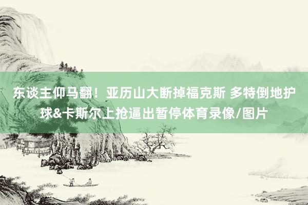 东谈主仰马翻！亚历山大断掉福克斯 多特倒地护球&卡斯尔上抢逼出暂停体育录像/图片