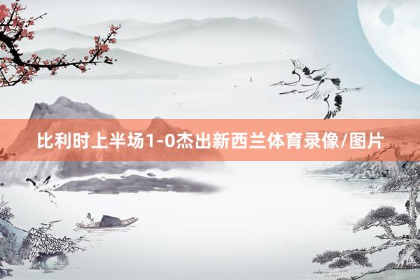 比利时上半场1-0杰出新西兰体育录像/图片